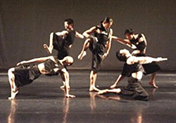 深圳现代舞培训|深圳哪里有现代舞培训？